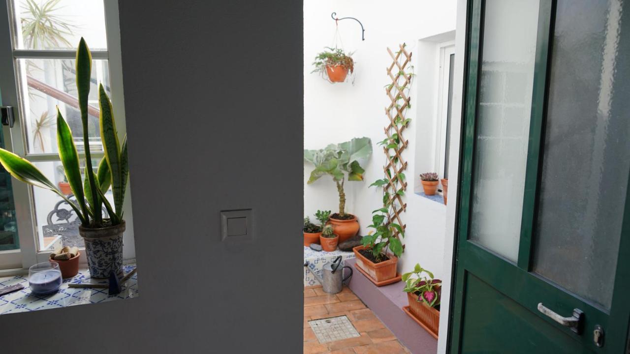 오르타 Casa Volta Do Mar 빌라 외부 사진